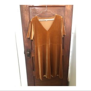Tan velvet Madewell dress